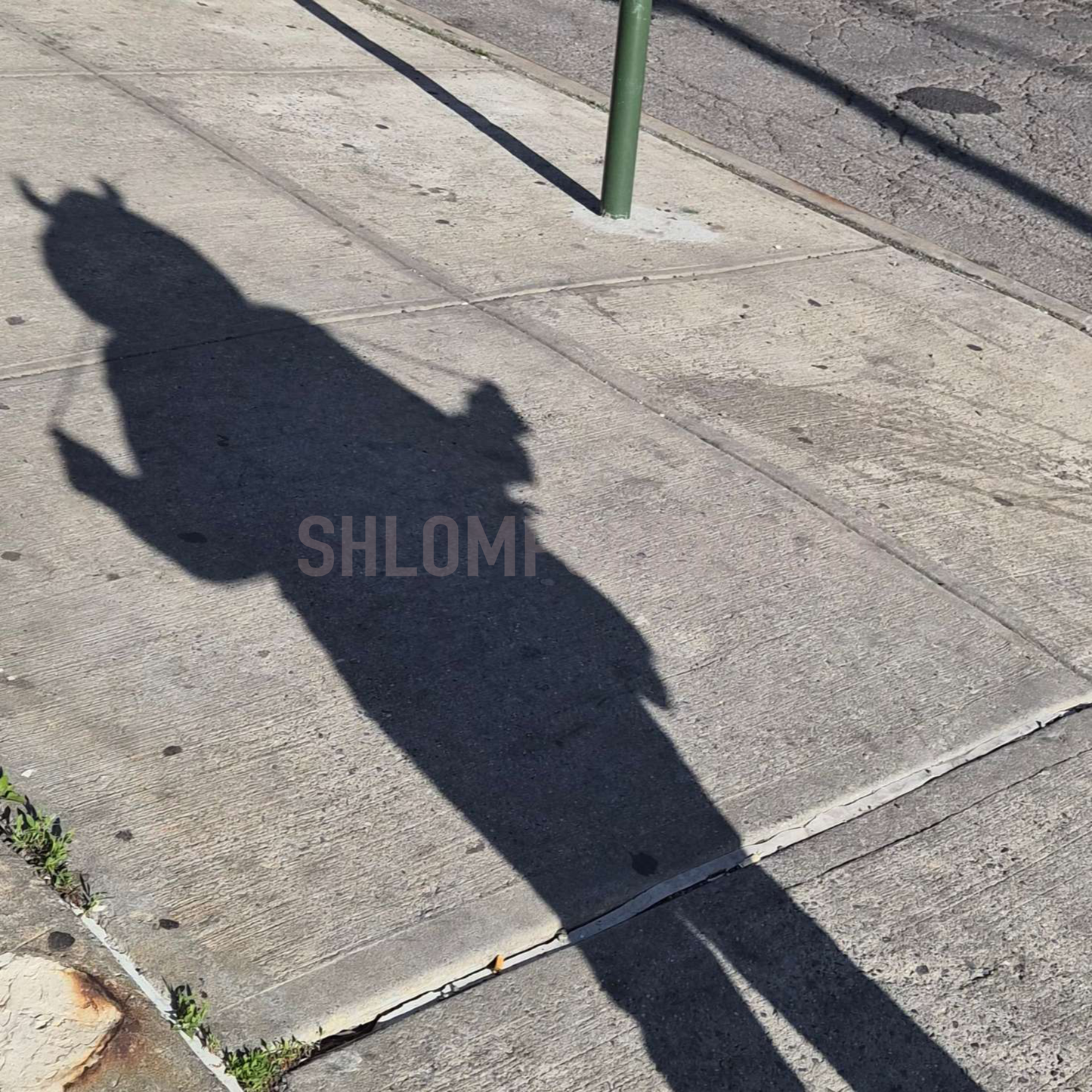 (PRE-ORDER) Shy Dragon Hoodie